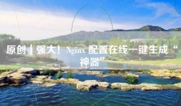原创｜强大！Nginx 配置在线一键生成“神器”