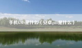 手机GMS是什么（安卓gms是什么）