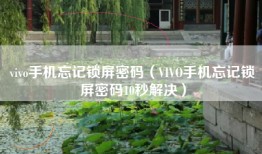 vivo手机忘记锁屏密码（VIVO手机忘记锁屏密码10秒解决）