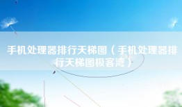 手机处理器排行天梯图（手机处理器排行天梯图极客湾）
