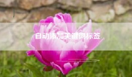 自动添加关键词标签