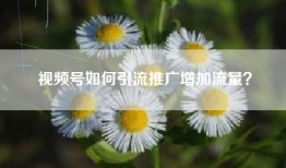 视频号如何引流推广增加流量？