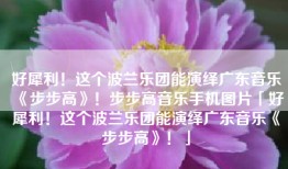 好犀利！这个波兰乐团能演绎广东音乐《步步高》！步步高音乐手机图片「好犀利！这个波兰乐团能演绎广东音乐《步步高》！」