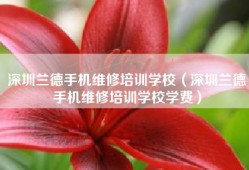 深圳兰德手机维修培训学校（深圳兰德手机维修培训学校学费）