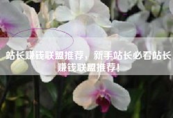 站长赚钱联盟推荐，新手站长必看站长赚钱联盟推荐！