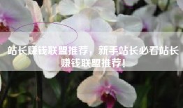 站长赚钱联盟推荐，新手站长必看站长赚钱联盟推荐！