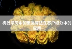 机器学习中的聚类算法在客户细分中的应用