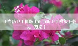 正当防卫手机版（正当防卫手机版下载方法）