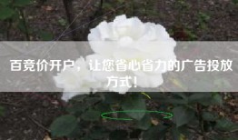 百竞价开户，让您省心省力的广告投放方式！