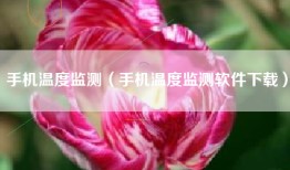 手机温度监测（手机温度监测软件下载）
