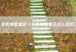 手机频繁重启（手机频繁重启什么原因）
