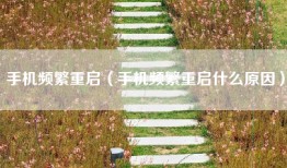手机频繁重启（手机频繁重启什么原因）
