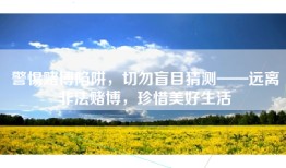 警惕赌博陷阱，切勿盲目猜测——远离非法赌博，珍惜美好生活