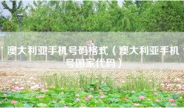 澳大利亚手机号码格式（澳大利亚手机号国家代码）