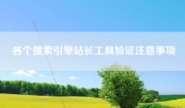 各个搜索引擎站长工具验证注意事项