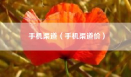 手机渠道（手机渠道价）