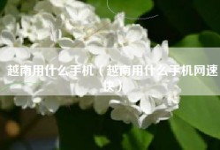 越南用什么手机（越南用什么手机网速快）
