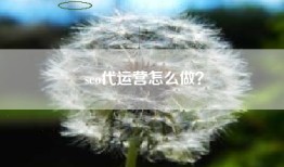 seo代运营怎么做？