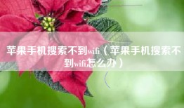 苹果手机搜索不到wifi（苹果手机搜索不到wifi怎么办）