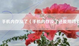 手机内存没了（手机内存没了还能用吗）