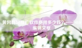 黄冈网站推广软件费用多少钱？——SEO编辑文章