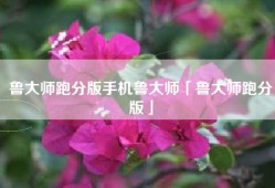 鲁大师跑分版手机鲁大师「鲁大师跑分版」