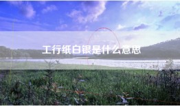 工行纸白银是什么意思