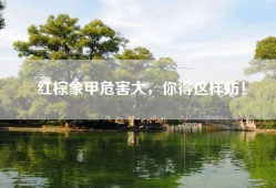 红棕象甲危害大，你得这样防！