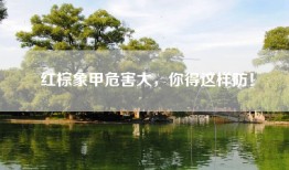 红棕象甲危害大，你得这样防！