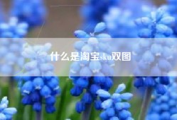 什么是淘宝sku双图