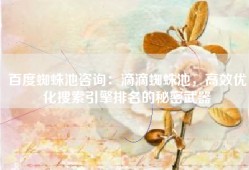 百度蜘蛛池咨询：滴滴蜘蛛池，高效优化搜索引擎排名的秘密武器