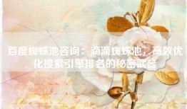 百度蜘蛛池咨询：滴滴蜘蛛池，高效优化搜索引擎排名的秘密武器