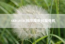 AKD-x01207科尔摩根伺服电机