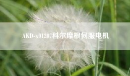 AKD-x01207科尔摩根伺服电机