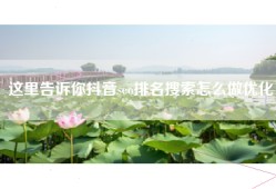 这里告诉你抖音seo排名搜索怎么做优化