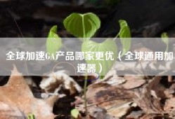 全球加速GA产品哪家更优（全球通用加速器）
