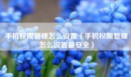 手机权限管理怎么设置（手机权限管理怎么设置最安全）