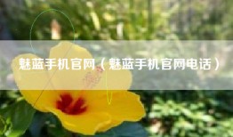 魅蓝手机官网（魅蓝手机官网电话）