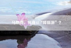 马斯克，化身AI“降临派”？