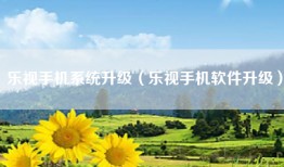 乐视手机系统升级（乐视手机软件升级）