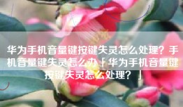 华为手机音量键按键失灵怎么处理？手机音量键失灵怎么办「华为手机音量键按键失灵怎么处理？」