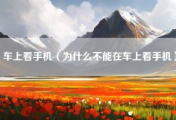 车上看手机（为什么不能在车上看手机）