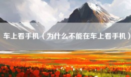 车上看手机（为什么不能在车上看手机）