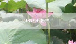 头条AD广告推广