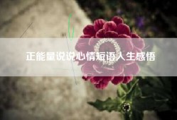 正能量说说心情短语人生感悟