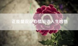正能量说说心情短语人生感悟