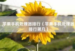 苹果手机处理器排行（苹果手机处理器排行第几）
