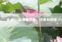 金山SEO品牌服务商，效果有保障