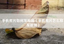 手机照片如何发原图（手机照片怎么样发原图）