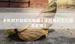 手机照片如何发原图（手机照片怎么样发原图）